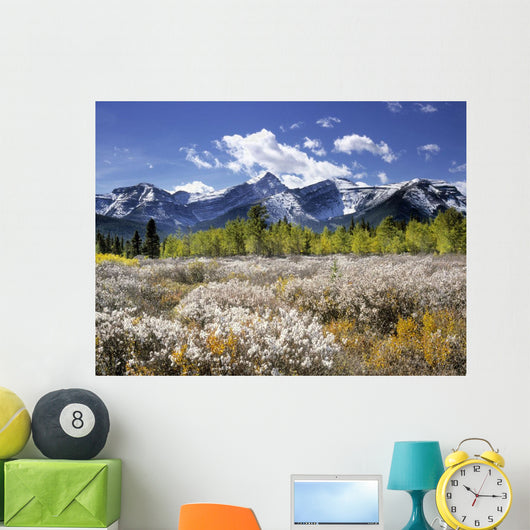 Little Elbow River Valley, Kananaskis Country, Alberta, Canada Wall Mural