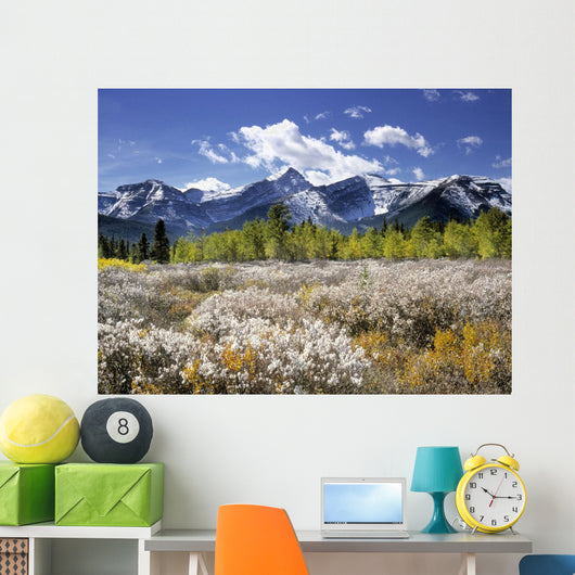Little Elbow River Valley, Kananaskis Country, Alberta, Canada Wall Mural