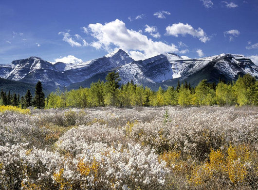 Little Elbow River Valley, Kananaskis Country, Alberta, Canada Wall Mural