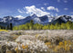 Little Elbow River Valley, Kananaskis Country, Alberta, Canada Wall Mural