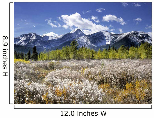 Little Elbow River Valley, Kananaskis Country, Alberta, Canada Wall Mural