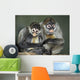 Squirrel Monkeys, Calgary Zoo, Calgary, Alberta, Canada Wall Mural