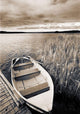 Boat And Reeds, Burntstick Lake, Alberta, Canada Wall Mural