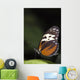 Butterfly, Niagara Botanical Gardens, Niagara Falls, Ontario Wall Mural