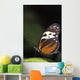 Butterfly, Niagara Botanical Gardens, Niagara Falls, Ontario Wall Mural