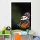 Butterfly, Niagara Botanical Gardens, Niagara Falls, Ontario Wall Mural