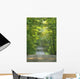 Gravel Road, Niagara Region, Pelham, Ontario Wall Mural