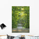 Gravel Road, Niagara Region, Pelham, Ontario Wall Mural
