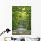 Gravel Road, Niagara Region, Pelham, Ontario Wall Mural