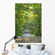 Gravel Road, Niagara Region, Pelham, Ontario Wall Mural