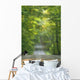 Gravel Road, Niagara Region, Pelham, Ontario Wall Mural