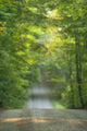 Gravel Road, Niagara Region, Pelham, Ontario Wall Mural