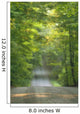 Gravel Road, Niagara Region, Pelham, Ontario Wall Mural