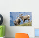 Young Bighorn Sheep, Windy Point, Kootenay Plains, Alberta, Canada Wall Mural