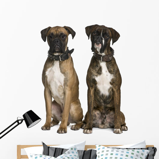 Two Boxer Dogs Sitting Wall Decal