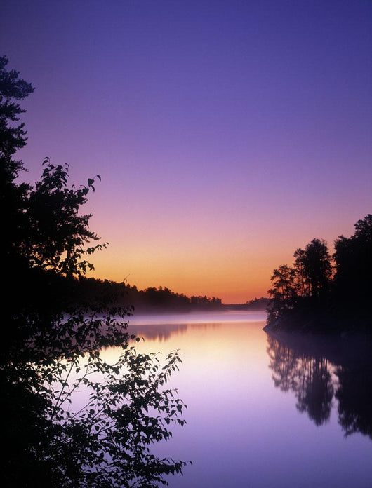 Dogtooth Lake, Rushing River Provincial Park, Ontario, Canada Wall Mural
