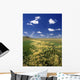 Fox Tail Barley, Grasslands National Park, Saskatchewan, Canada Wall Mural