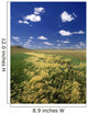Fox Tail Barley, Grasslands National Park, Saskatchewan, Canada Wall Mural