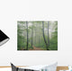 Hardwood Forest, Mont Tremblant Park, Quebec, Canada Wall Mural