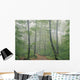 Hardwood Forest, Mont Tremblant Park, Quebec, Canada Wall Mural