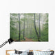 Hardwood Forest, Mont Tremblant Park, Quebec, Canada Wall Mural