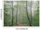 Hardwood Forest, Mont Tremblant Park, Quebec, Canada Wall Mural