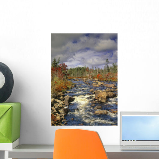 Rocky Brook And Fall Colours, Newfoundland, Canada Wall Mural