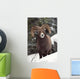 Bighorn Sheep, Maligne Canyon, Jasper National Park, Alberta, Canada Wall Mural