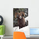 Bighorn Sheep, Maligne Canyon, Jasper National Park, Alberta, Canada Wall Mural
