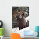 Bighorn Sheep, Maligne Canyon, Jasper National Park, Alberta, Canada Wall Mural