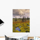 Eagle Plains, Yukon Territory, Canada Wall Mural