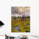 Eagle Plains, Yukon Territory, Canada Wall Mural