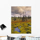 Eagle Plains, Yukon Territory, Canada Wall Mural
