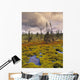 Eagle Plains, Yukon Territory, Canada Wall Mural