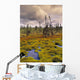 Eagle Plains, Yukon Territory, Canada Wall Mural