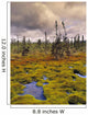 Eagle Plains, Yukon Territory, Canada Wall Mural