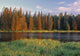 Whirlpool Lake, Riding Mountain National Park, Manitoba, Canada Wall Mural