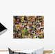 Montage of animal eyes Wall Mural