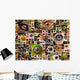 Montage of animal eyes Wall Mural