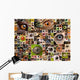 Montage of animal eyes Wall Mural
