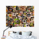 Montage of animal eyes Wall Mural