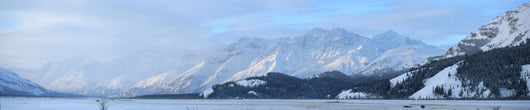 Slims River Valley, Kluane National Park, Yukon Wall Mural