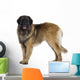 Leonberger dog Wall Decal