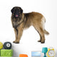 Leonberger dog Wall Decal