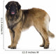 Leonberger dog Wall Decal