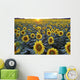 Field Of Sunflowers Wall Mural