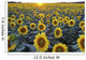 Field Of Sunflowers Wall Mural