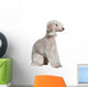 Bedlington Terrier Sitting Wall Decal