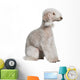 Bedlington Terrier Sitting Wall Decal