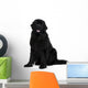 Newfoundland dog Wall Decal